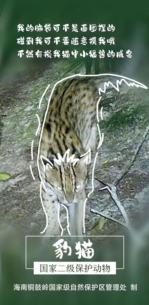 國際生物多樣性日聚焦銅鼓嶺 國家二級保護(hù)動植物的醫(yī)藥技術(shù)開發(fā)潛力