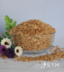 秋季養生正當時 八種谷物食品，吃出健康與美麗